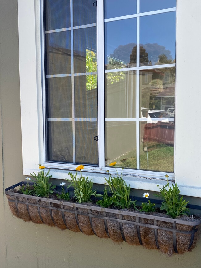 Foto del edificio - 2103 Island Ave