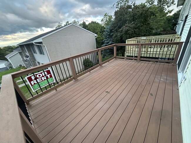 Xtra Large Deck - 556 Becker St