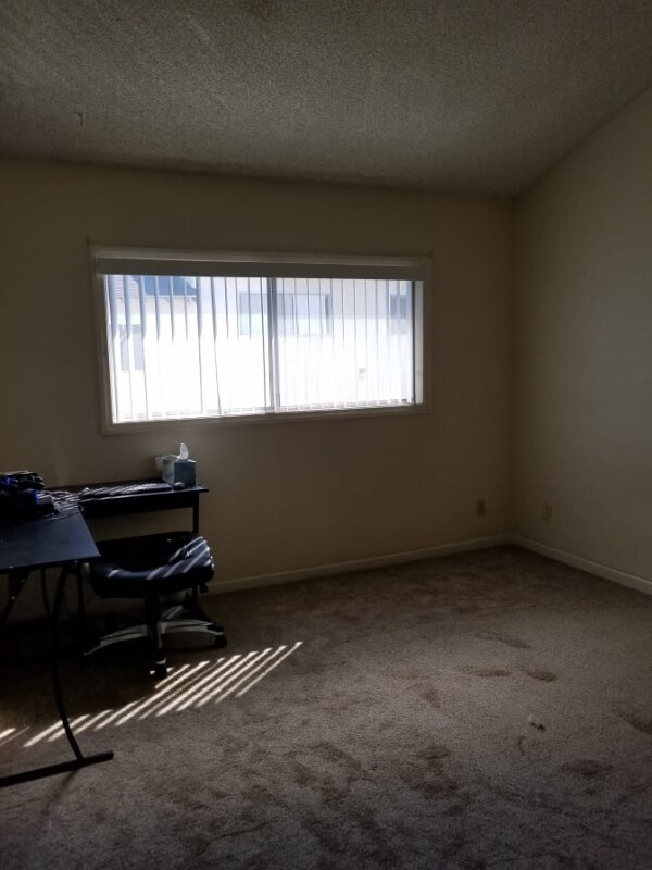 Building Photo - 1341 Alessandro Dr