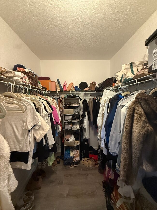 Large master closet - 1701 The Greens Way