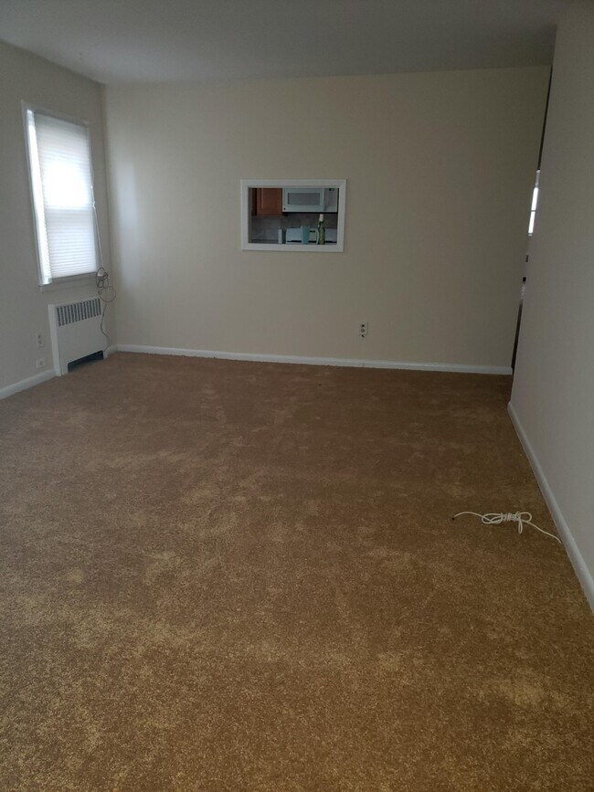 Living Room Pic 1 - 538 E Penn St