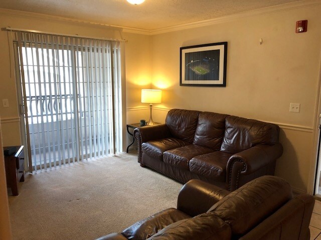 Fotografía del edificio - 567 N University Ave