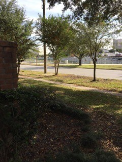 Primary Photo - 2400 Braeswood Blvd