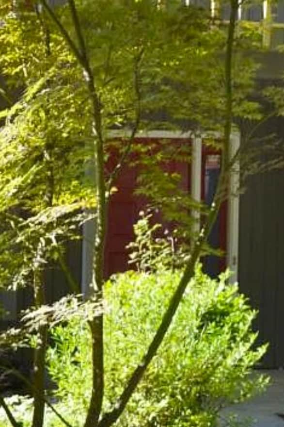 Building Photo - 4319 Sunscape Ln