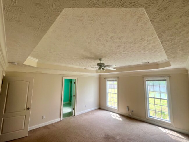 Building Photo - 16 Cotton Ct