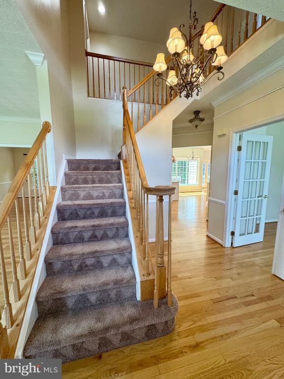 Foto del edificio - 805 Winterberry Dr