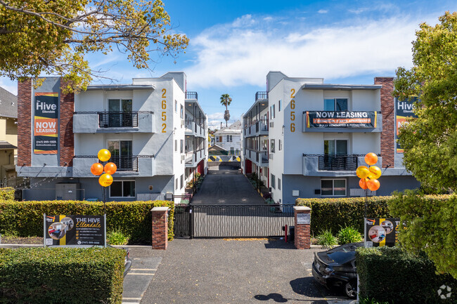 Building Photo - The Hive On Ellendale USC Student Housing