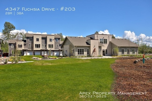 Building Photo - 4347 Fuchsia Dr