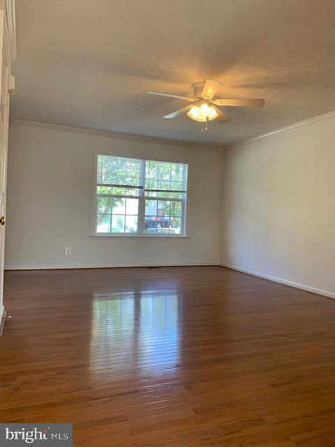 Building Photo - 207 Regina Ln