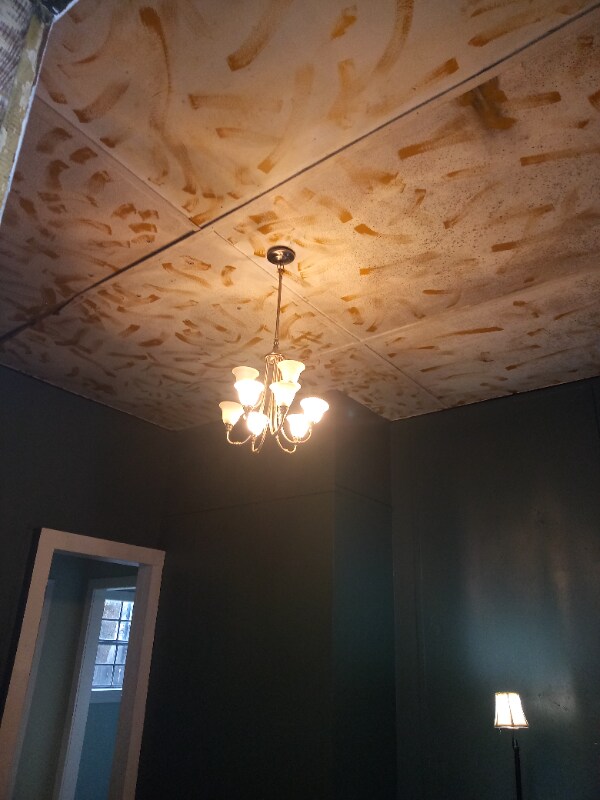 Foto del edificio - 408 Voorhies St