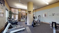 This fitness center offers a comprehensive workout environment designed to accommodate a wide range of exercise routines. The space features durable rubber flooring throughout, providing both safety and comfort during workouts. A prominent cylindrical column anchors the center of the room, adding an architectural element to the open floor plan. The facility is equipped with an array of cardio machines, including treadmills, ellipticals, and step trainers, as well as multi-function cable and strength machines for resistance training. A dedicated free weights area includes multiple dumbbell racks with a full range of weights, accompanied by a flat workout bench and a large wall-to-wall mirror that enhances the sense of space and allows for proper form checking. Natural light fills the room through generously sized windows that frame views of mature trees and lush outdoor greenery. Ceiling fans and overhead fluorescent lighting ensure a well-lit, comfortable atmosphere. The warm two-tone wall color scheme of soft blue and golden yellow, paired with framed artwork, gives the space an inviting, upscale feel. Glass entry doors connect the fitness center to an adjacent common area, and a beverage vending machine is conveniently located near the entrance for post-workout refreshment.
