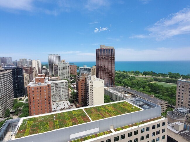 Building Photo - 340 W Diversey Pkwy
