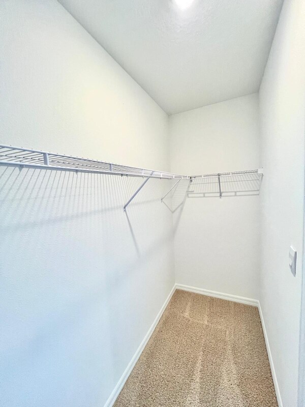 Foto del edificio - 32508 Midsummer Night Ln