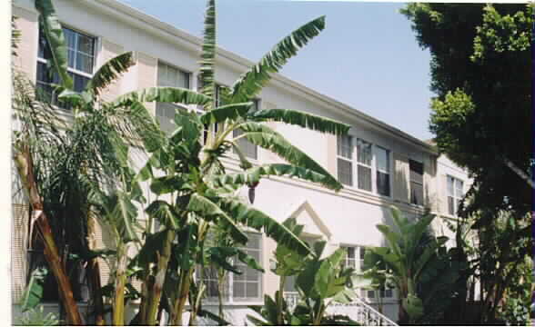 Building Photo - 9667 W Olympic Blvd
