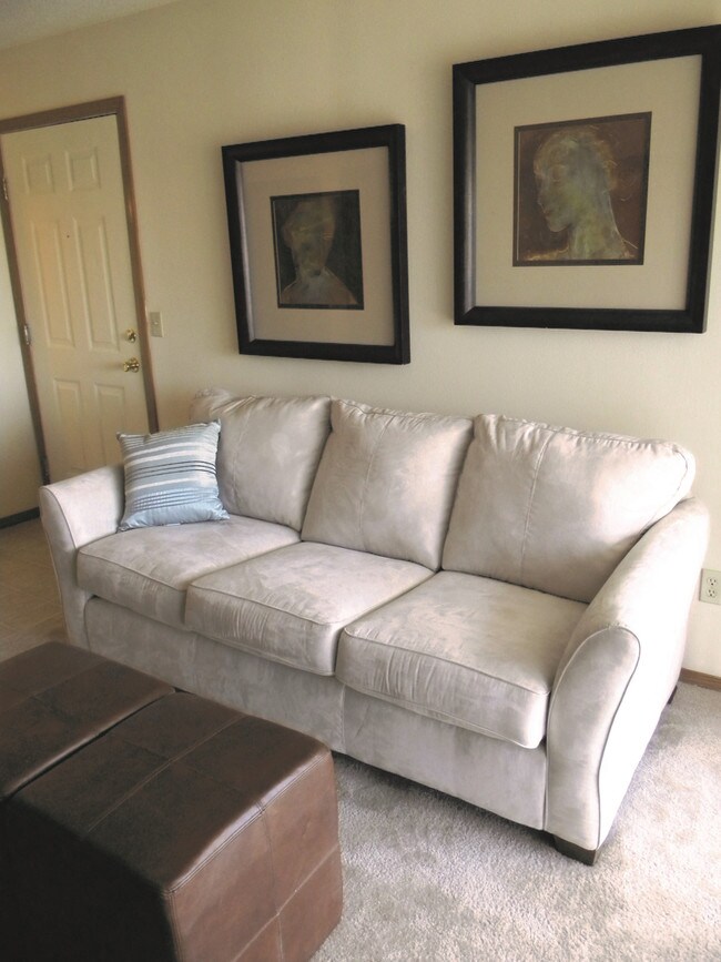 Mountain Boulevard Rentals Ozark, MO