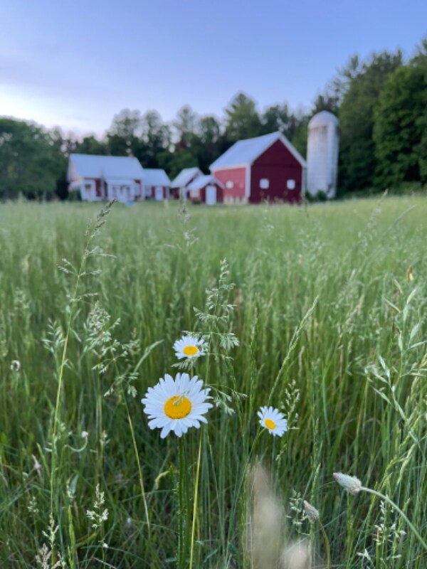 362 US3 Unit A, Stratford, NH 03590 Room for Rent in Stratford, NH