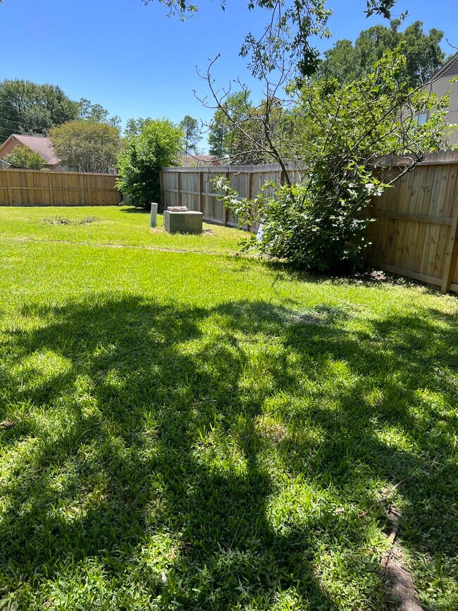 Back Yard - 10103 Inwood Shadows St