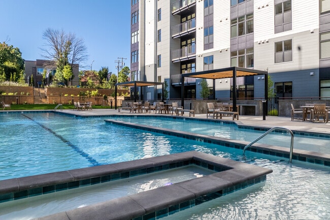 Pool - Elysian at Stonefield Apartments