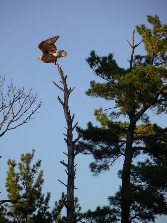 Casa perfecta para los amantes de la naturaleza… cómodo acceso al sendero para UTV/motos de nieve - 4152 Satuit Ln