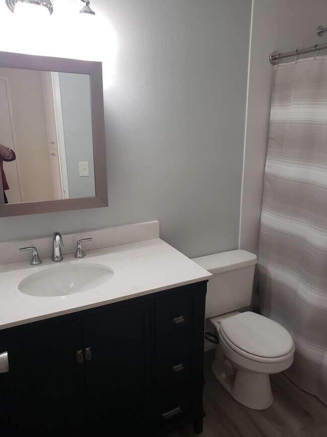Hall bathroom with new tub, vanity and shower - 4804 Hollow Corner Rd