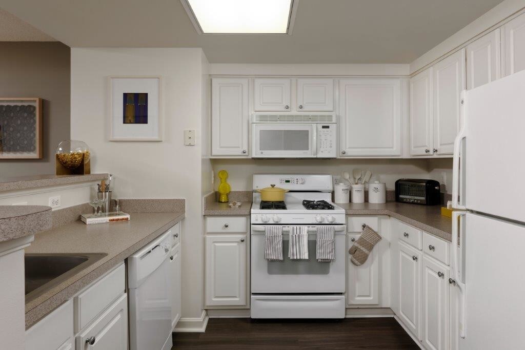 Ballston Place 61 Photos 9 Reviews Apartment For Rent 901