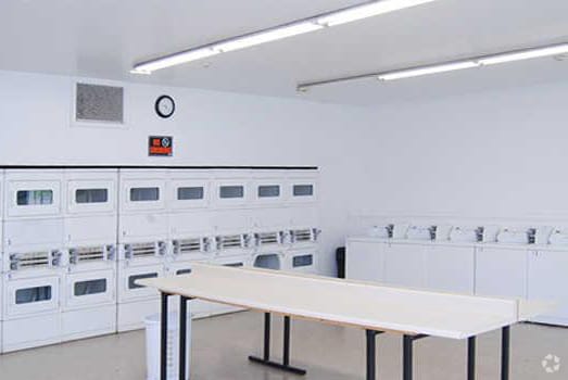 Interior Photo - McGuire's Grove