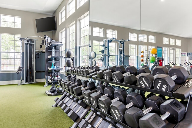 Weight Rack - The Phoenix Orlando
