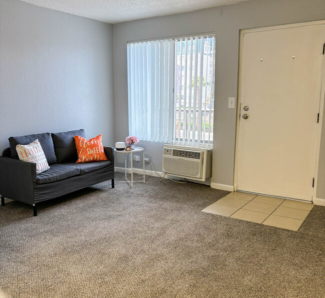 Studio - Living Area - Katie Court Apartments