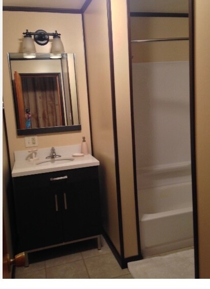 Apt A bathroom - 1001 N Park Ave