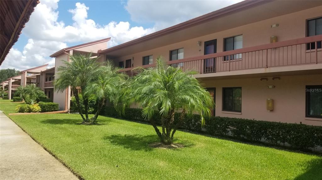 128 Lakeside Dr, Oldsmar, FL 34677 Condo for Rent in Oldsmar, FL