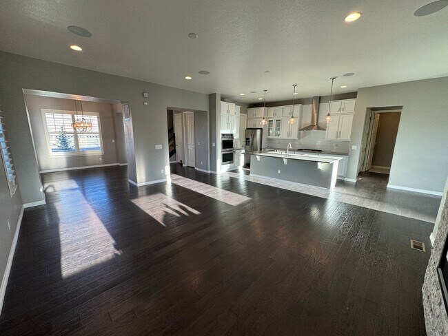 Building Photo - Palatial Castle Rock Home