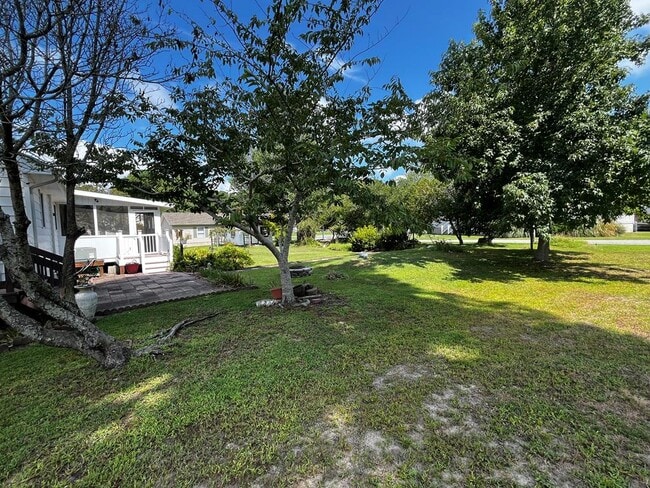 Building Photo - 7267 Olga Dr