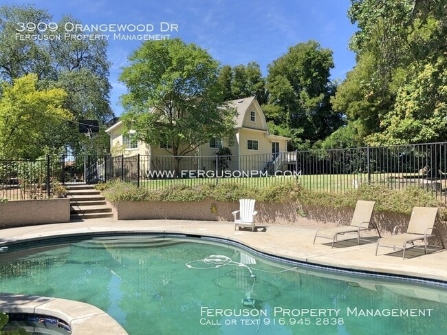 Building Photo - 3909 Orangewood Dr