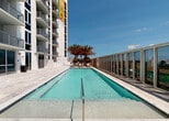 Located at 2900 SW 28 Ln in Miami, FL, this amenity space offers residents a comprehensive fitness and recreation experience across a single level. The fitness center is generously proportioned, featuring durable rubber flooring and recessed lighting throughout. It is outfitted with a wide variety of strength training machines, including cable systems, resistance equipment, and seated press stations, providing a full-body workout option for users of all levels. Cardio equipment is equally well-represented, with multiple treadmills, a stair climber, and a stationary bike arranged to maximize floor space. Large windows on multiple walls flood the gym with natural light and offer views of the surrounding greenery and outdoor areas, while double glass doors provide direct access to the exterior. The outdoor pool area presents a sleek, resort-style lap pool with crystal-clear turquoise water, framed by clean white tile decking and lined with tall, mature palm trees that evoke a tropical atmosphere. Lounge seating is available poolside, and the space is bordered by a glass panel railing that opens to open-sky views. Together, these amenities create a well-rounded, resort-inspired environment ideal for both fitness and relaxation.
