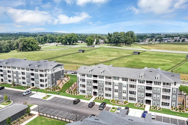 Los apartamentos Shoals — foto de la comunidad - The Shoals