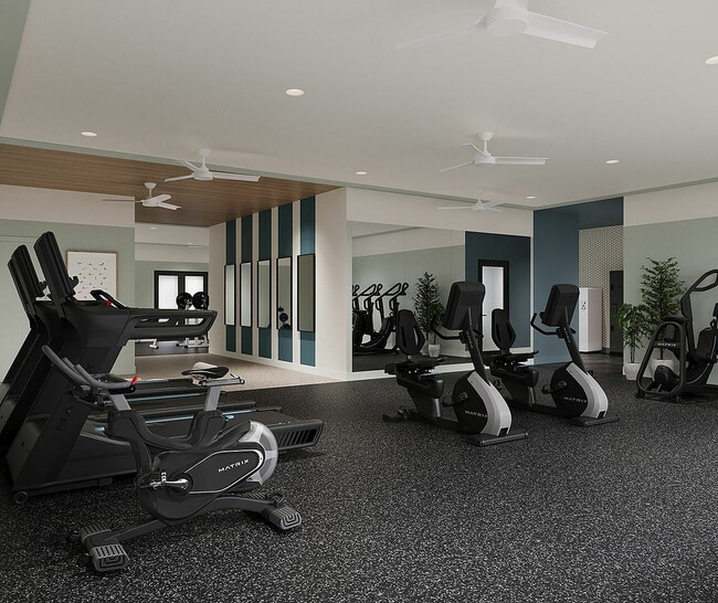 View Renovations Gym - The View