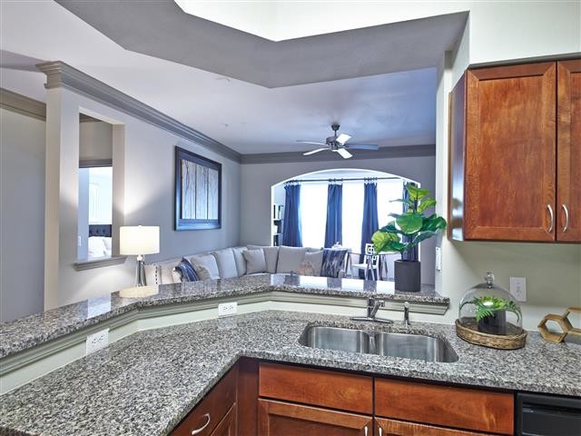 Kitchen granite countertop and bar over looking living room - Aspire Roxbury