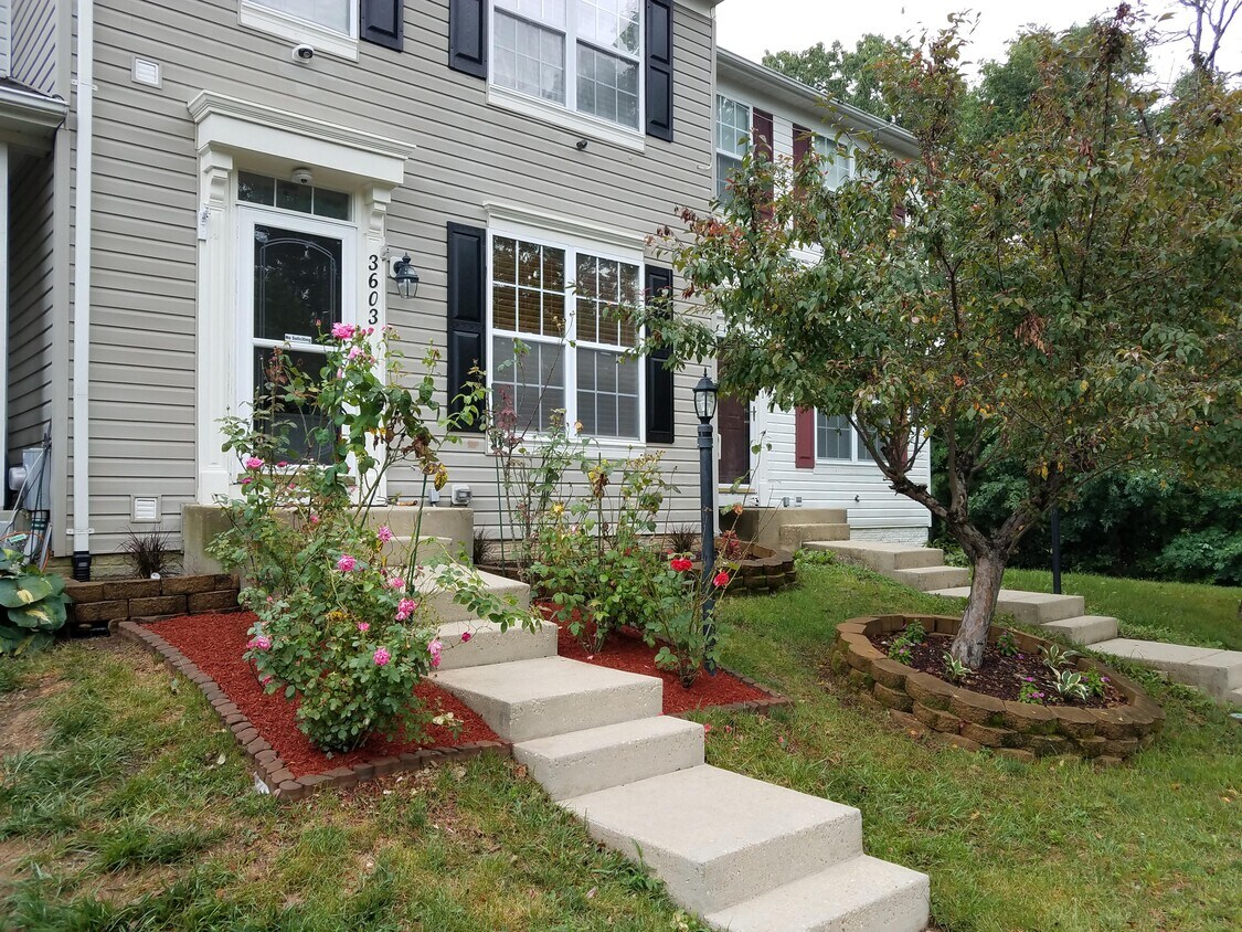 Primary Photo - 3603 Matlock Pl