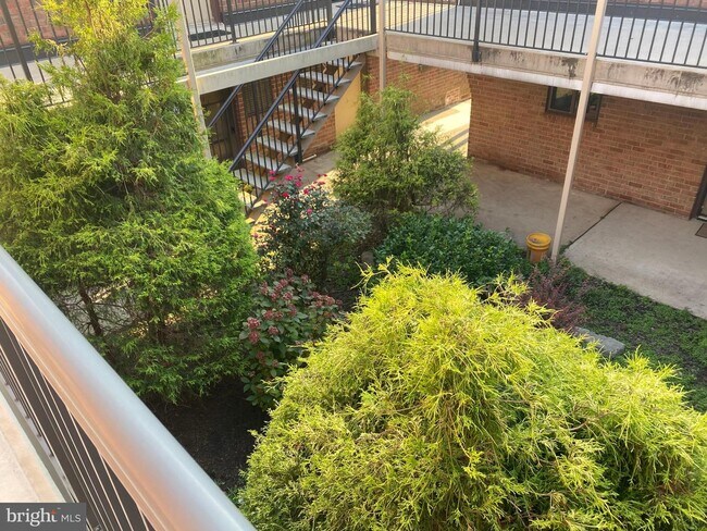 Foto del edificio - 804 Meadow Woods Ln