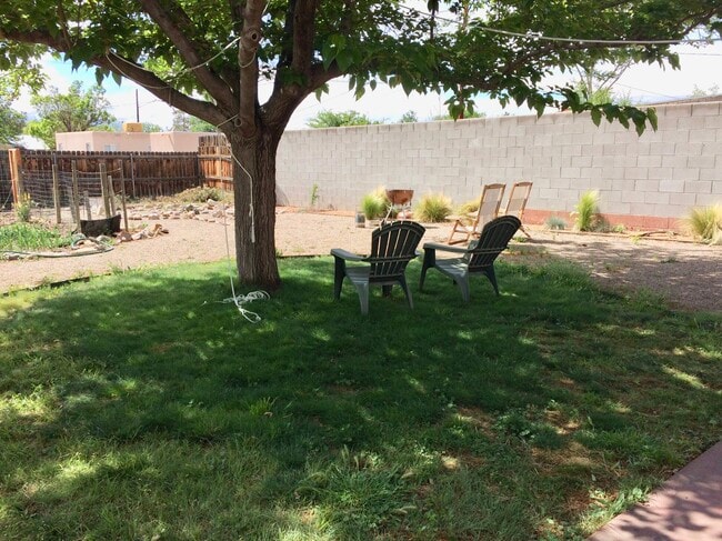 Un precioso árbol que da sombra en el patio trasero completamente vallado, cerca del jardín. - 805 Cagua Drive Southeast