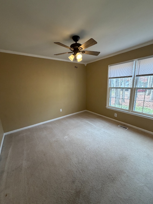 Foto del edificio - 114 Wythe Cir