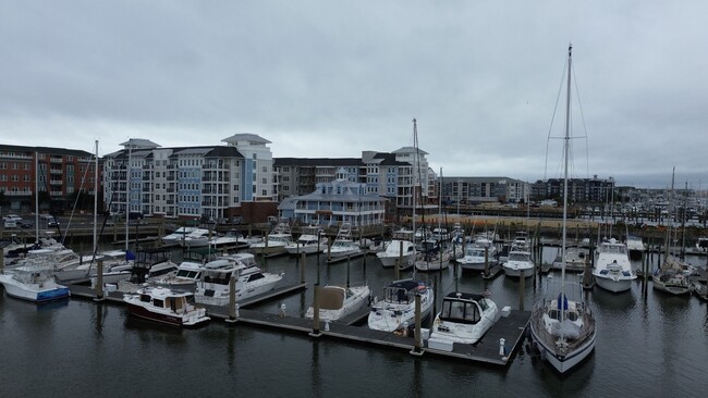 Building Photo - The Port at East Beach Apartments and Marina