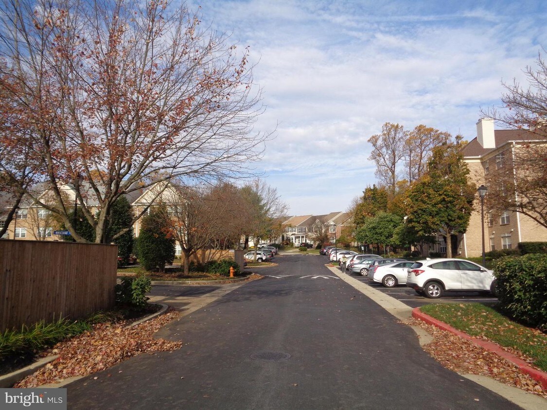 Foto principal - 512 Limerick Cir