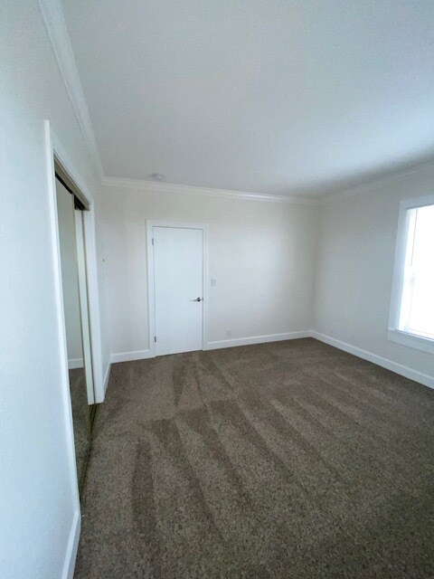 Building Photo - 585 Laine St