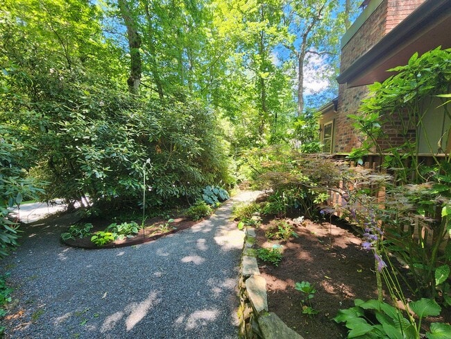 Building Photo - Black Mountain Cottage!