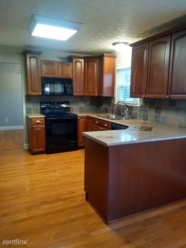 Building Photo - 4 br, 2.5 bath House - 4565 Mount Rushmore Ct