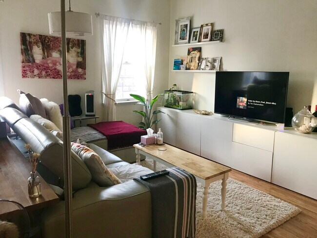 Living room - 91 Garden St