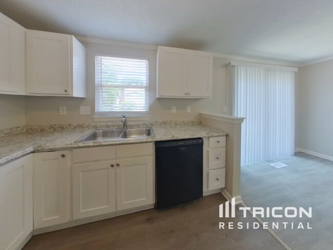 Building Photo - 10817 Balbriggan Court Charlotte NC