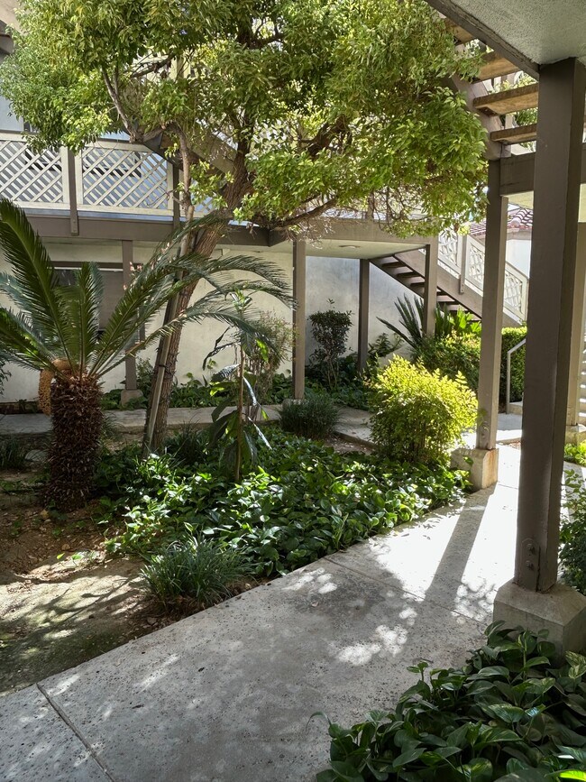 Foto del edificio - 3429 Legato Ct