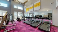 This expansive fitness center is designed to deliver a full-spectrum workout experience within a visually dynamic and energizing environment. The space is anchored by dramatically high ceilings that create an open, airy atmosphere, complemented by large windows that flood the interior with abundant natural light and offer views of the surrounding outdoor areas.

The flooring throughout is a striking geometric-patterned carpet in bold shades of pink and magenta, lending the space a modern, high-energy aesthetic. Large-scale abstract artworks in vivid yellows, purples, and blues adorn the walls, reinforcing the vibrant character of the facility.

The cardio zone is well-appointed with a full row of Life Fitness treadmills and elliptical trainers, each equipped with individual digital screens for an enhanced workout experience. Full-length mirrors line the walls, amplifying the sense of space and allowing users to monitor their form.

The strength and functional training area features a Life Fitness Synrgy multi-functional training rig, a comprehensive dumbbell rack, adjustable benches, kettlebells, battle ropes, medicine balls, and a rowing machine, catering to a wide range of training styles and fitness levels.

An entry corridor with light wood flooring transitions smoothly into the main workout areas, providing a clean separation between zones. The facility is finished with modern pendant lighting and is monitored by security cameras throughout.